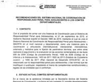 Recomendaciones del sistema nacional de coordinación  de responsabilidad penal para adolescentes a  los Comités Departamentales