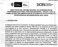 Directrices del Sistema Nacional de Coordinación de Responsabilidad Penal para Adolescentes SNCRPA