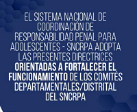 Directrices orientadas a fortalecer el funcionamiento de los comités departamentales y distrital- año 2021